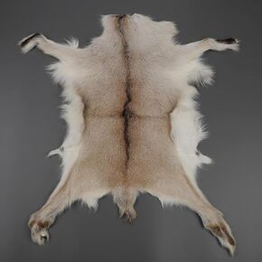 Natural Tanned Sheep Skin Antelope Fur Goat Hide Pelts Skin Springbok Fur Hide Pelt Rug Taxidermy Hunting Trophy and Plush Clothing Liner Bag Accessories 1PCS (16X16IN)