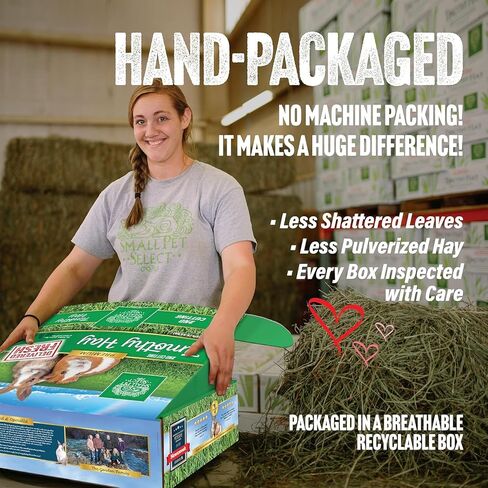 Small Pet Select 2nd Cutting Perfect Blend Timothy Hay Pet Food for Rabbits, Guinea Pigs, Chinchillas and Other Small Animals, Premium Natural Hay Grown in The US, 20 LB in Kuwait