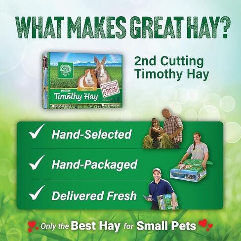 Small Pet Select 2nd Cutting Perfect Blend Timothy Hay Pet Food for Rabbits, Guinea Pigs, Chinchillas and Other Small Animals, Premium Natural Hay Grown in The US, 20 LB in Kuwait