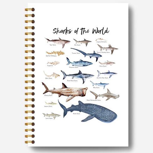 Guymn Shark Notebook - Ocean Notebook, Ocean Journal, Shark Gifts for Shark Lovers, Shark Themed Gifts, Marine Biology Gifts, Shark Desk Accessories, Sharks of the World Spiral Notebook 5.5x8.3 Inch in Saudi Arabia