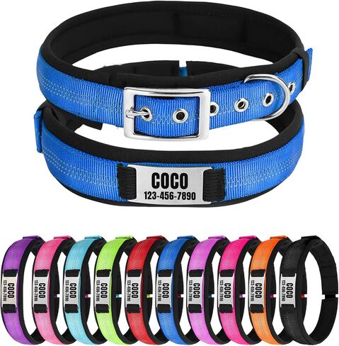 Nylon Reflective Personalized Dog Collar with Name, Customizable Dog Collar with Metal Belt Buckle, Soft Comfort for Pets - Matching Leash Available (Orange) in Saudi Arabia