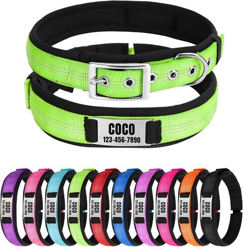 Nylon Reflective Personalized Dog Collar with Name, Customizable Dog Collar with Metal Belt Buckle, Soft Comfort for Pets - Matching Leash Available (Orange) in Saudi Arabia