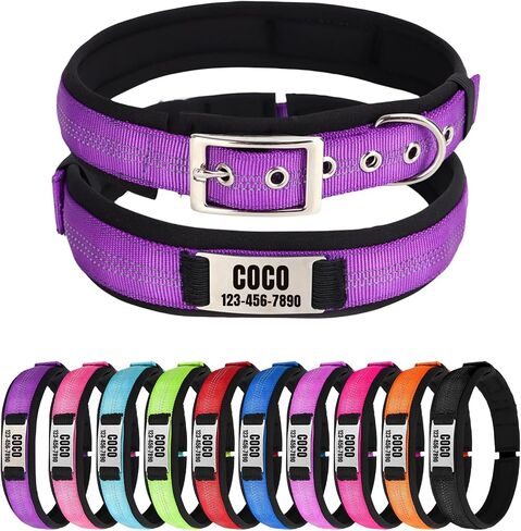Nylon Reflective Personalized Dog Collar with Name, Customizable Dog Collar with Metal Belt Buckle, Soft Comfort for Pets - Matching Leash Available (Orange) in Saudi Arabia
