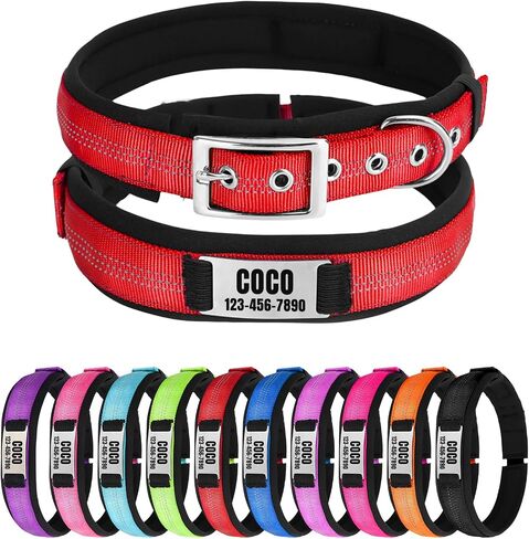 Nylon Reflective Personalized Dog Collar with Name, Customizable Dog Collar with Metal Belt Buckle, Soft Comfort for Pets - Matching Leash Available (Orange) in Saudi Arabia