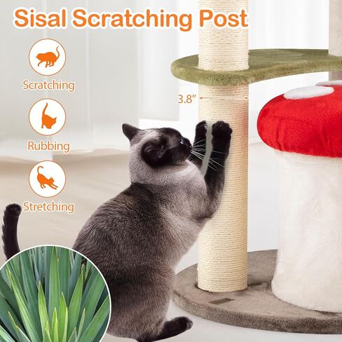 شجرة قطات الفطر Petsite ، برج شجرة قط لطيف متعدد المستويات مع وظائف خدش السيزال ، شقة القط ، العثمان الفخمة ، ولعب متدلي للقطط الداخلية (35 بوصة) in Saudi Arabia