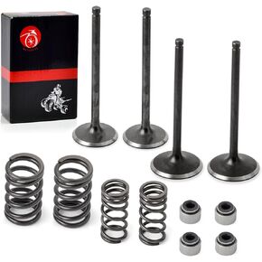 Intake Exhaust Valves and Seals Spring for Polaris Predator 500 Outlaw 500 2003 2004 2005 2006 2007 3087982 3087981