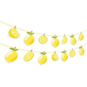 Lemon Banner, Citrus Lemonade Party Sign, Lime Birthday Decorations, Boy Girl Baby Shower Theme Supplies, Bday Kids 1st First Decor
