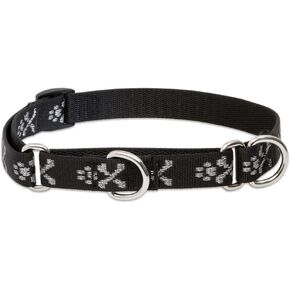LupinePet Originals 3/4" Bling Bonz 10-14" Martingale Collar for Small Dogs