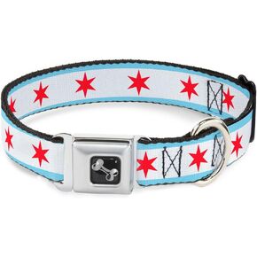 Buckle-Down 11-17" Chicago Flag Dog Collar Bone, Medium