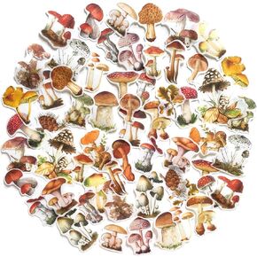 60PCS Mushroom Laptop Stickers Decals, Doraking DIY Mushroom Plants Decoration Stickers Decals for Windows, Refrigerator, Decoration (Mushroom Collection, 60PCS/Pack)