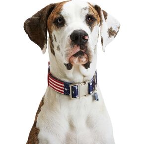 Youly American Flag Dog Collar American Flag XX-Large/3X-Large