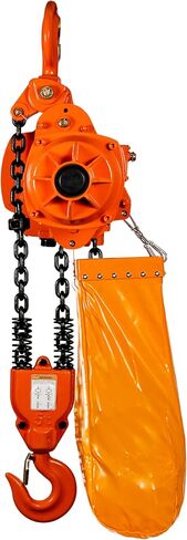 Prowinch 1 طن رافعة كهربائية سلسلة 20 قدم G100 سلسلة M4 / H3 208 ~ 240/440 ~ 480 فولت in Kuwait