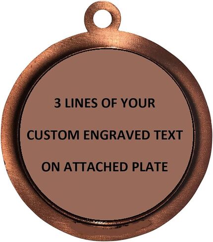 Engraved 1 to 50 Packs Engraved Scholastic Apple Bronze Medal Trophy Award with Personalized Custom Text LD212-FCL403 in Saudi Arabia