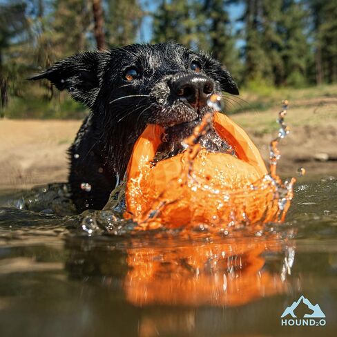 Playology Hound2O Outdoor Dog Toys | Interactive Squeaky Ball - Tug of War Dog Toy | Bright Orange Chew Toy Floats for Water Adventures in Saudi Arabia