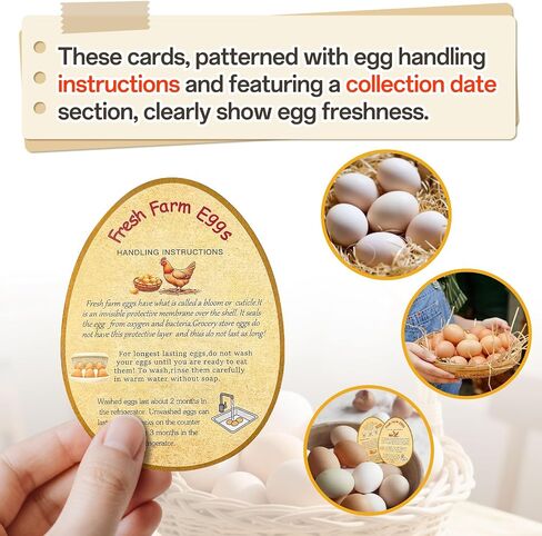 800pcs يرجى إرجاع ملصقات Cartons البيض ، 1.2 "× 2.75" مزرعة مستطيلة البيض الطازج ملصقات الكارتون لفة ملصقات حاوية الدجاج اللاصقة in Kuwait