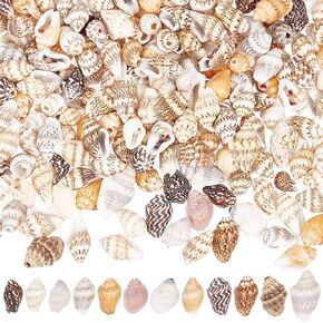 400 Pcs Natural Shell Beads, Spiral Shell Beads Hole 1mm Conch Trinket Fish Tank Aquarium Ornaments Summer Beach Small Seashells for Jewelry Making DIY Crafting