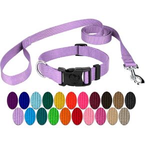 Country Brook Petz - Vibrant 25+ Color Selection - Deluxe Nylon Dog Collar and Leash (Small, 3/4 Inch Wide, Coyote Tan)