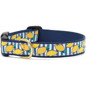 Up Country Dog Collar - Make Lemonade (Medium Wide - fits Necks 12-18")