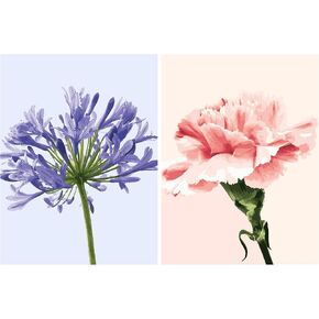 LikeyFactory Agapanthus & Carnation Paint by Numbers Kit for Adults – 2-Pack 12"x16" Rolled Canvas with Brushes & Acrylic Paints DIY Floral Art Set