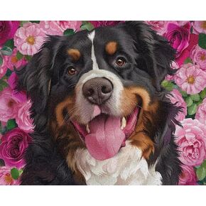 ZUVRDIAI Dog Paint by Numbers Kit for Adults Canvas Bernese Mountain Dog Roses Flowers Paint by Number Without Framed Digital Oil Painting Kits for Home Decoration 16x20 Inch