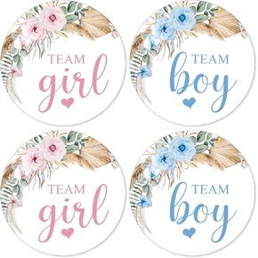 Advivio 80Pcs Funny Clothes Themed Team Boy Girl Stickers, Baby Shower Boy or Girl Gender Reveal Stickers, Birthday Party Labels Decorations, 2 Inc