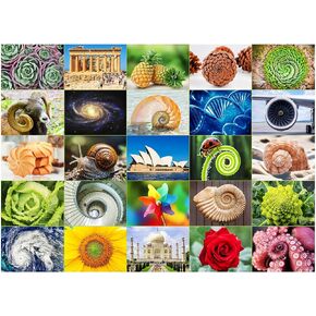 BenBen 1000 Piece Puzzle for Adults, Spiral Theme, Jigsaw Puzzles with Letters on Back, Challenging Puzzle for Game Night Home Décor