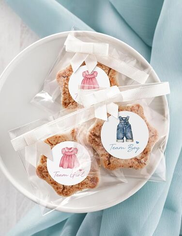 Advivio 80Pcs Funny Clothes Themed Team Boy Girl Stickers, Baby Shower Boy or Girl Gender Reveal Stickers, Birthday Party Labels Decorations, 2 Inc in Kuwait