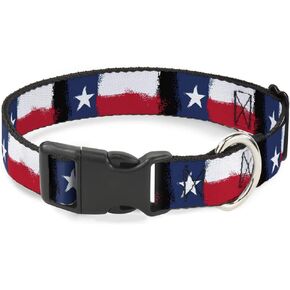 Buckle-Down Plastic Clip Collar - Texas Flag Painting - 1.5" Wide - Fits 16-23" Neck - Medium