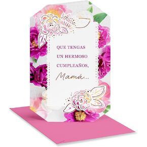 American Greetings Spanish Birthday Card for Mother (Aprecia, Se Te Celebra)