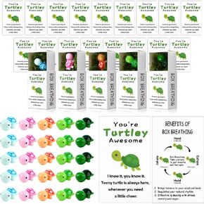 50 Sets Employee Appreciation Gifts Bulk You're Turtley Awesome Breathing Box Gifts Team Building Support Inspirational Positive Thank You Party Favor for Employees Staff Coworkers Teacher