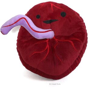 I Heart Guts Placenta Plush - Baby's First Roommate - 10" Odd Baby Gift Stuffed Toy