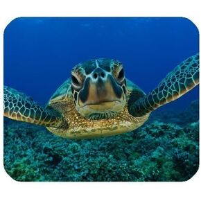 Beautiful Smooffly Sea Turtle Customized Rectangle Non-Slip Rubber Mousepad Gaming Mouse Pad