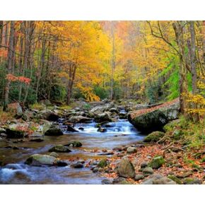 ZUVRDIAI DIY Paint by Numbers Little River Great Smoky Mountains National Park Tennessee Canvas Painting Set with Acrylic Paint Paintbrush for Adults Beginners Artwork Gift 16" x 20"