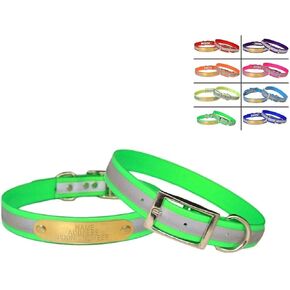 Warner Brand Reflective Dayglo Dog Collar Free Engraved Brass ID tag (NEON Green 21")