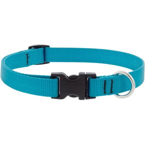 Lupine Dog Collar 3/4" Wide Aqua adjusts 13-22" Long