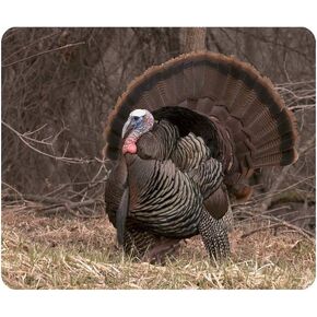 Gaming Mouse Pad Strutting Wild Turkey Non-Slip Rubber Mouse Pad for Computers, Laptop, Office, Home Rectangle Personalized Mousepad 9.5 Inch x 7.9 Inch