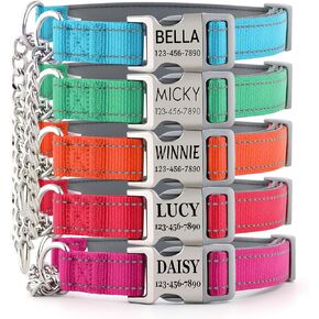 Engraved Personalized Martingale Dog Collars with Name and Phone Number, Reflective Adjustable Nylon Custom Choker Collar with Stainless Chain for Small Medium Large Dogs