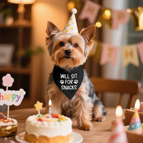 Will Sit for Snacks Black Dog Bandana, Puppy Scarf Accessory Photo Prop for Dogs Lover, Funny Quotes Birthday Puppy Scarf Accessory, Mother's Day Birthday for Dog Mom Dad in Saudi Arabia