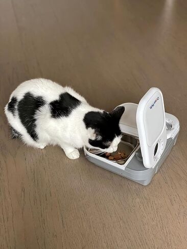 وحدة تغذية الحيوانات الأليفة الأوتوماتيكية المكونة من وجبتين مع إدراجات وعاء من الفولاذ المقاوم للصدأ (C200) in Kuwait