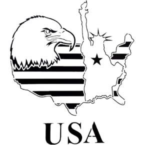 Large Patriotic Stencils American Flag American Map American Eagle Stencil for Painting on Wood, Fabric, Walls, Airbrush + More | Reusable Mylar Template (USA Eagle)