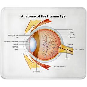 Science Anti-Slip Gaming & Office Mouse Pad with Stitched Edges 9.5 x 7.9 Inch, Human Eye Anatomy Cornea Iris Pupils Optic Nerves Graphic Print Durable Smooth Surface Desk Mat
