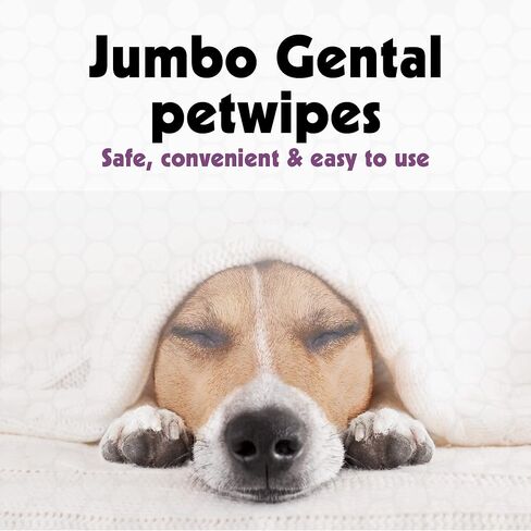 Petkin Jumbo Pet Ear Pipes ، 80 مناديلًا رطبة إضافية ، 2 حزمة -منظف أذن الحيوانات الأليفة المزيف لإزالة الأوساخ ، الرائحة ، وآمنة الشمع ، وسهلة الاستخدام للحيوانات الأليفة للكلاب ، والقطط ، والجزر والقطط in Kuwait