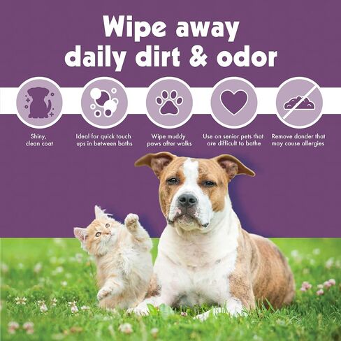Petkin Jumbo Pet Ear Pipes ، 80 مناديلًا رطبة إضافية ، 2 حزمة -منظف أذن الحيوانات الأليفة المزيف لإزالة الأوساخ ، الرائحة ، وآمنة الشمع ، وسهلة الاستخدام للحيوانات الأليفة للكلاب ، والقطط ، والجزر والقطط in Kuwait