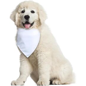 Baby Security in Training Printed Dog Bandana, 31'' Baby Announcement for Photo Prop Party Supplie, Gender Reveal Decorations, Funny Gifts
