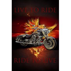 Large Red Motorcycle With Fire Eagle Cotton Panel 36 X 45 David
