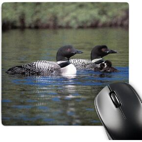 3dRose LLC 8 x 8 x 0.25 Inches Mouse Pad, Family of Three Loons (mp_3106_1)