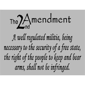 Keep and Bear Arms 2nd Amendment Reusable Stencil (8.5" x 11" Sheet) for Painting on Walls, Wood, Arts and Crafts (My Custom Stencils)