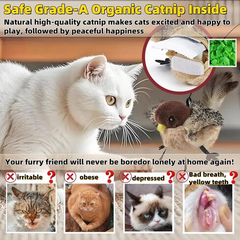 Flapping Bird Cat Toys (No Flying),Remote Control USB Rechargeable Kitten Toy,Chew-Resistant and Lifelike Bird Chirp,Simulates Owl Wing Flapping with 3 Speed,for Indoor Cats/Dogs/Pet,Catmint Included in Saudi Arabia
