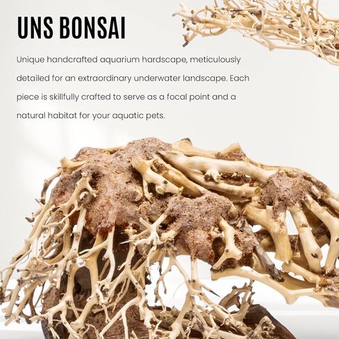 Ultum Nature Systems Bonsai - Handcrafted Driftwood for Aquarium, Terrarium, Vivarium, Natural Aquascape Decorations, Aquascaping Hardscape for Live Plants - 011, Small in Saudi Arabia