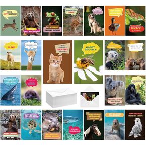 72 Sets Funny Animal Birthday Greeting Cards Funny Punny Birthday Cards with Envelopes 24 Special Designs Bulk Happy Birthday Greeting Cards for Family, Friends, Office, Teacher